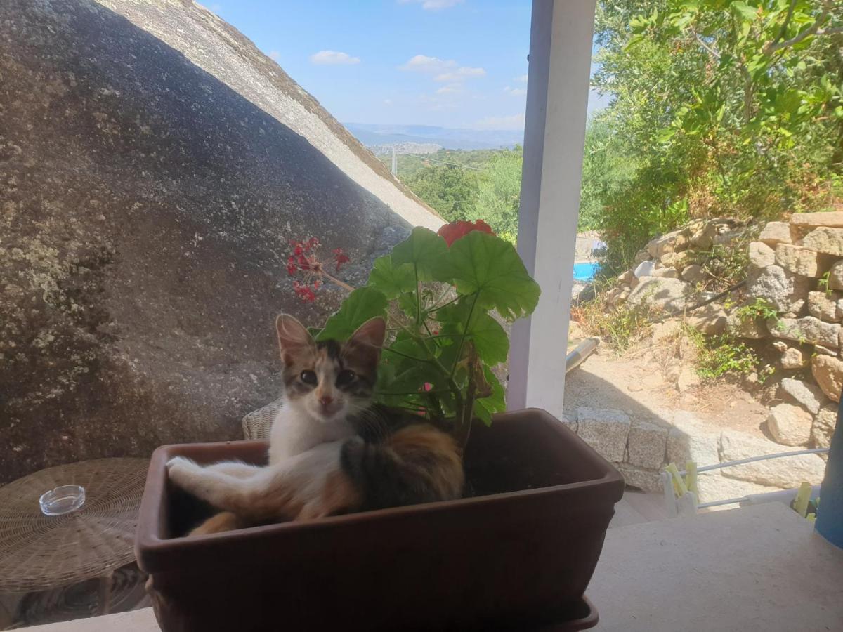 B&B Tiscali Dorgali Exteriör bild